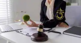 Licensed Advocates in Dubai | Expert Legal Represe, Dubai