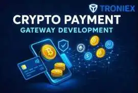 Custom Blockchain & Crypto Payment Gateway, Madurai