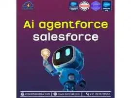 Salesforce Agentforce Consulting & Agent Servi, Jaipur