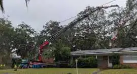 Emergency Tree Trimming Jacksonville, Jacksonville