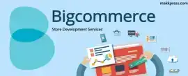 Get a High-Performing Store Now with Bigcommerce W, Mohali