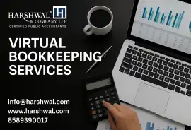 Virtual Bookkeeping Services to Simplify, San Diego