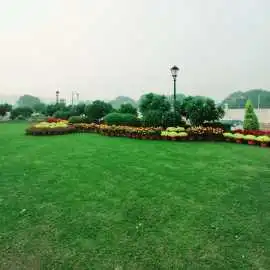 Why Choose 150 Sq. Yards Residential Plots in Sohn, Gurgaon