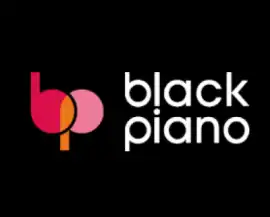 Hire SEO Expert & Boost Your Rankings: Black P, Bishop's Stortford