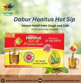 Dabur Honitus Hot Sip Ayurvedic Kadha , California City