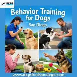 Professional Dog Behavior Training in San Diego, San Diego