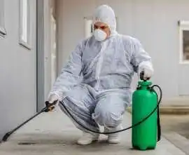 Is heat treatment effective for bed bugs removal ?, Leicester