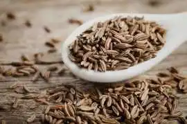 Best Cumin Seeds Suppliers in Maharashtra, ₹ 0