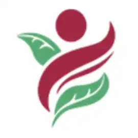 Hematologist Tampa FL, Tampa