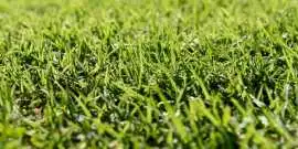 A Complete Guide to Professional Artificial Grass , Abu Dhabi