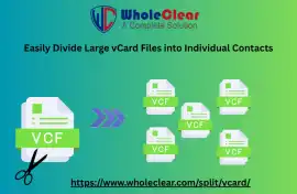 Bulk VCF File Splitter Software for Windows 11, 10, $ 29