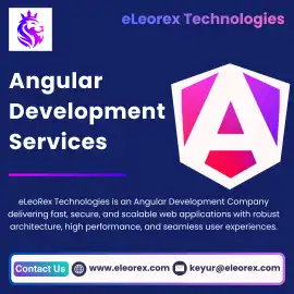 Best Angular Development Company | eLeoRex Technol, San Francisco