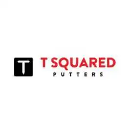 Shop Premium Golf Putters |T Squared Putters , $ 349