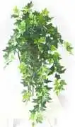 Hanging Plants That Instantly Lift Any Space, $ 35