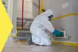 Certified Mold Inspectors in Valencia – Funguy Ins, Los Angeles
