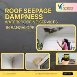 Roof Seapage Dampness Waterproofing Services in Ba, Bengaluru