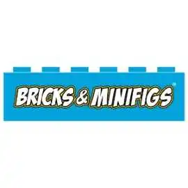 Bricks & Minifigs Buffalo Southtowns, Hamburg