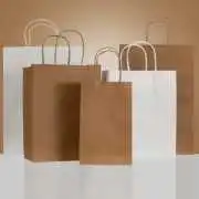 Affordable Paper Bags for Shopping in Canada, $ 0