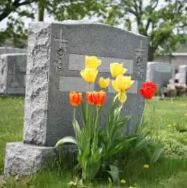 Mother Of Faith Dignified Cremations, Dallas