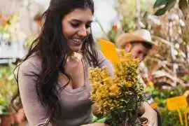 Guide to Picking Perfect Flowers in Bangalore, Bengaluru