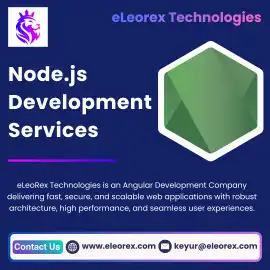 Best Nodejs Development Company | eLeoRex Technolo, San Francisco