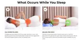 Melara Pro Pillow Reviews (Investigate Report) , Akhiok