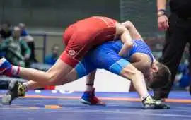 Super Quality Wrestling Mat at Best Price, $ 4,000