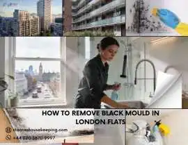How to Remove Black Mould in London Flats, London