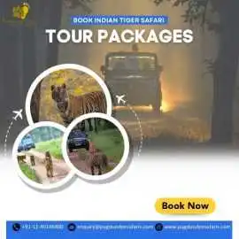 Book Indian Tiger Safari Tour Packages 