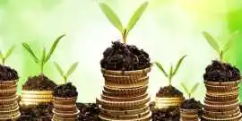 Succession Planning & Growth Advisory Services for, New York