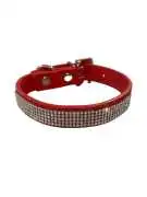 Bling Bling Collars for Dogs That Add a Little Spa, Abergowrie