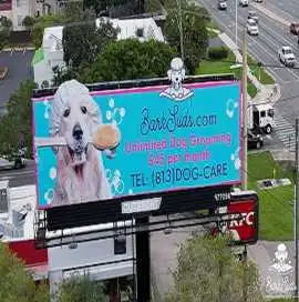 Westchase Barksuds, Los Angeles