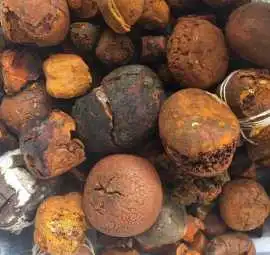 Buy cow /Ox Gallstone Available On Stock Now 