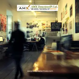 Private Detective Agency Delhi - Over 40+ Years Ex, New Delhi