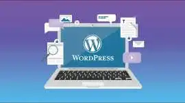 Expert WordPress Development Services India for Bu, Mohali