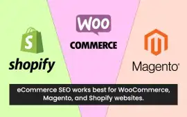 Ecommerce Website Development Agency, Gurgaon