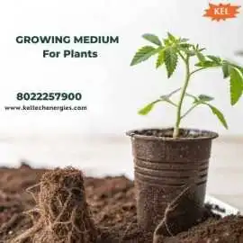 Premium Growing Medium for Plants, ₹ 100