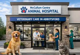 veterinary hospital in Abbotsford, Marsh lake
