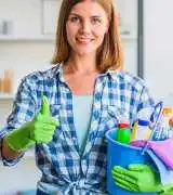 Best Rug Cleaner for Delicate Floor Rugs , Aranda