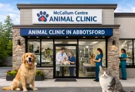 Animal clinic in abbotsford bc, Apohaqui