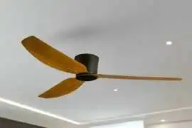 Wadbros Robin Ceiling Fan, $ 0