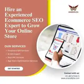 Hire an Experienced Ecommerce SEO Expert, Chandigarh
