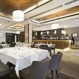 Modern Restaurant & Lounge, New Rochelle