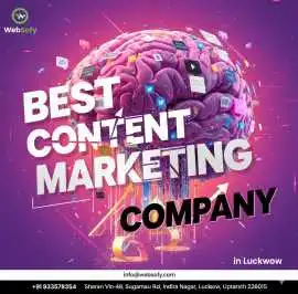 Expert ways to build brand authority with content , Lucknow