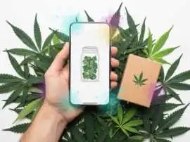 Buying Marijuana Online, $ 0