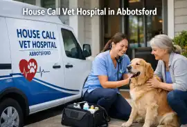  House call Vet Hospital in Abbotsford, Alonsa