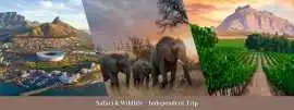 South Africa Tour Packages: Wildlife, Wine, Mumbai