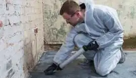 Certified Mould Specialist Singapore , Novena