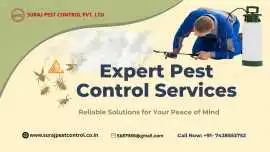 Expert Pest Control Services in Noida, Noida