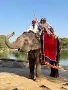 Elefriendride – Elephant Ride at Amber Fort | Ethi, $ 60